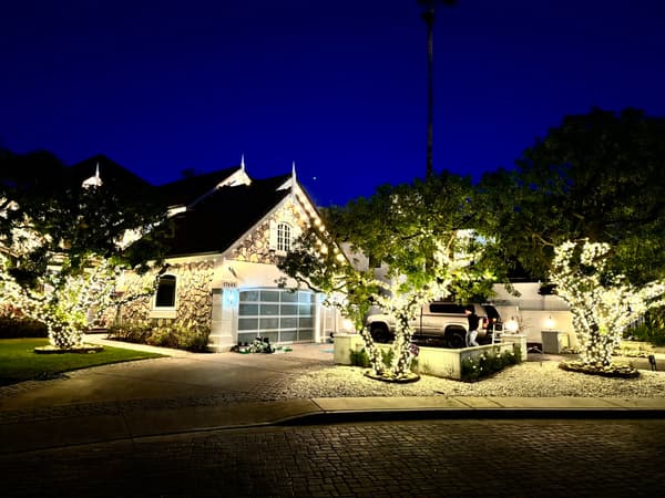 Home at dusk with its front-yard trees wrapped in warm white lights and lit rooflines behind