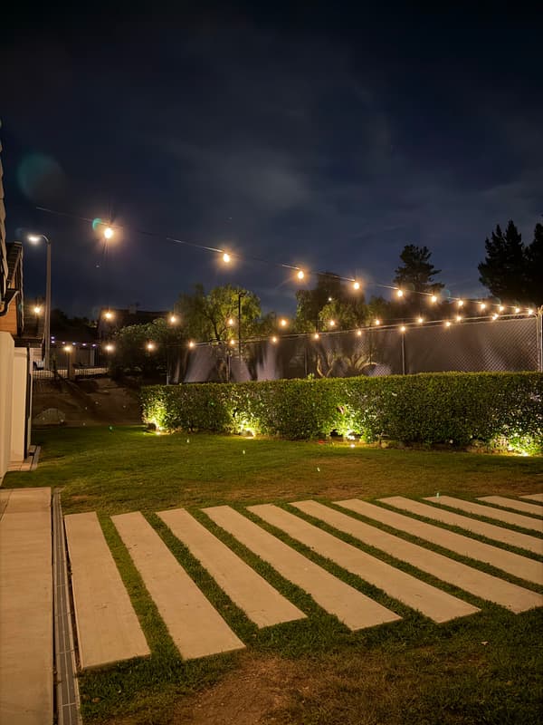 Backyard lawn and stepping pavers under string lights with a lit hedge