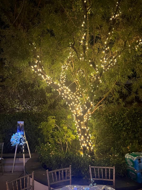 Tree wrapped in warm white lights above an outdoor seating area